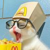 Meowdiary66