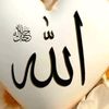 sindhi0282