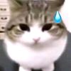 issajiennaf1