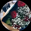 yusfregr4448484