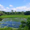 mahfuz.ahmed0265