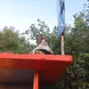 aikkkkkaaaaaa