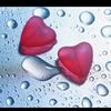 user7769061812257