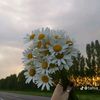 saidaa_97