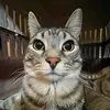 krzesloenjoyer