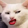 mew bí content