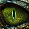 croco.dile.3
