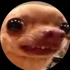 hi_uw24