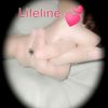 user9929880454