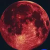 omaralhayyani5
