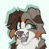 ciderpup
