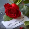 user96262066555062