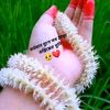 user7588006612285