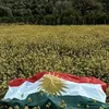 rasha_takyay