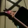 zxzx_queen1