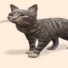 nem.chua.mm.tm