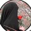 user47614479011050