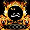 user8334808167258