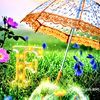 fayaz7917