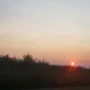 kht_du_lac_violet