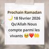 user11811355304751