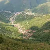 sofiascalabrini7