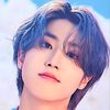 straykidsfan_stay24