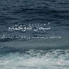 user31877603240222