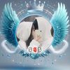 fatimaqueen.115
