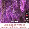 user5345881860269
