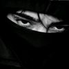 hamody511on5