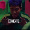 _echoedits___
