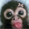 gabyyy.wst