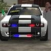 coolpalma605