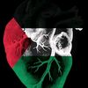 abo.waled72
