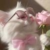 yasmine09311