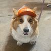 fluffmart1