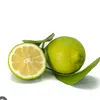 il_limone_verde