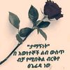 fafahasan15