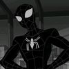 spider2085
