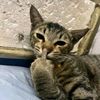 ilyas_13235