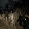 necrophilicfantasies