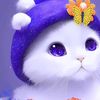 user446283775