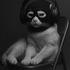 catclip_