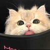 MMBBMM BAG