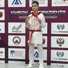 romanich2013