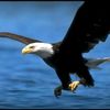user155220106144