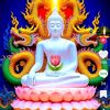 waizin0192