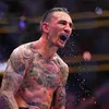 ufc_edits774