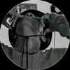 crazyduche2